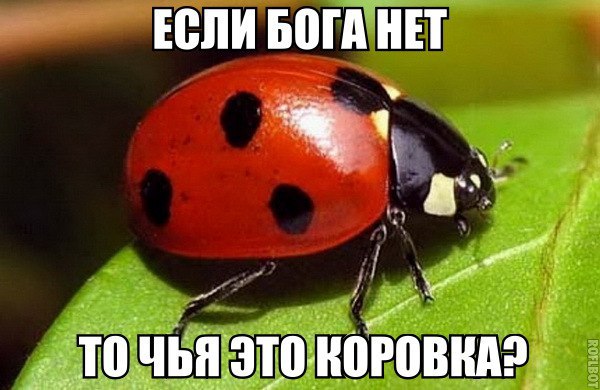 0rJZxSd1YsU.jpg