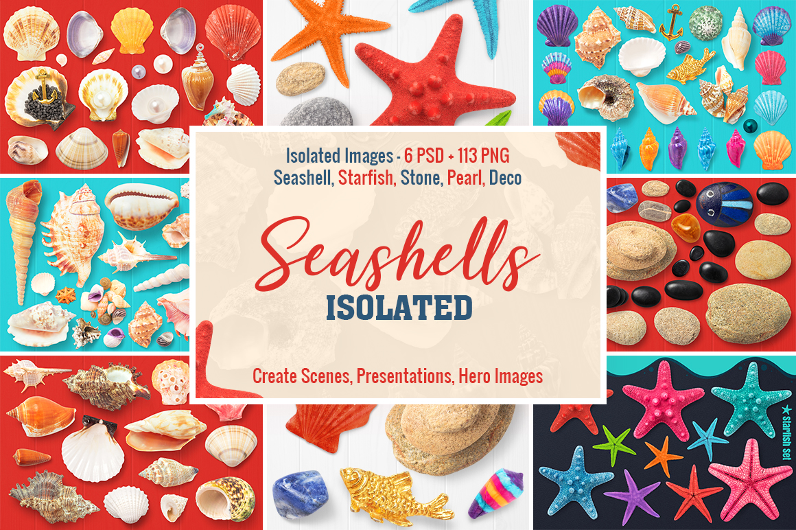 1 Isolated Seashells & Stones Preview 1.jpg