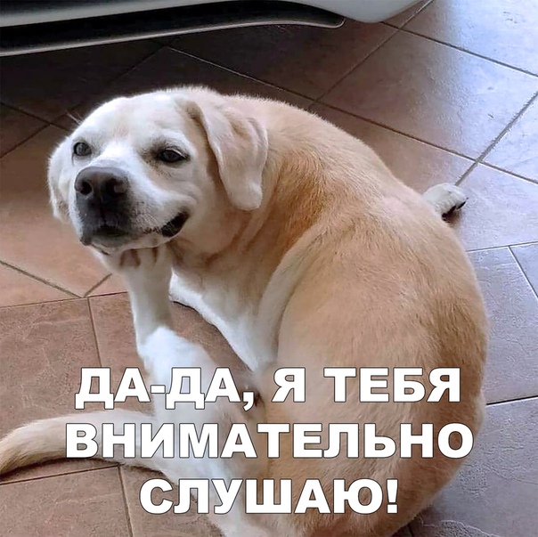 1553929042.jpg