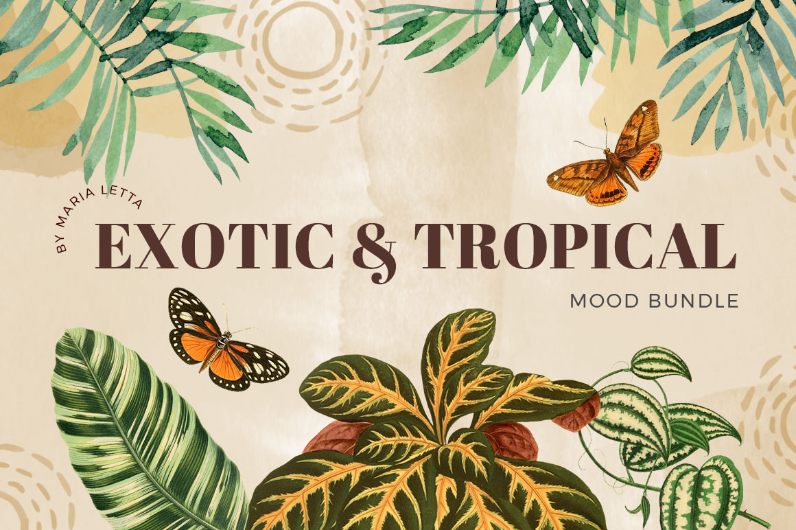 1ExoticTropicalMoodBundle.jpg