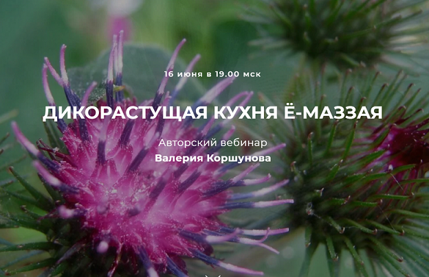2021-06-13_07-57-24.png