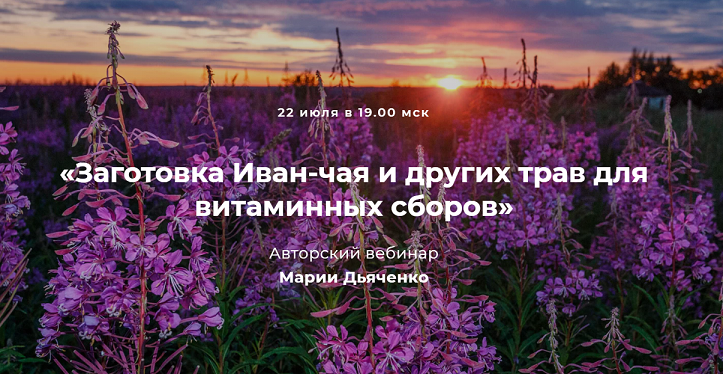 2021-07-23_01-14-21.png