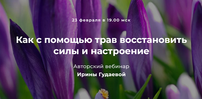 2022-02-19_17-15-40.png