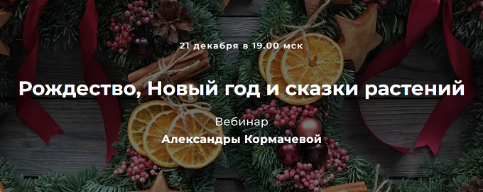 2022-12-17_11-08-50.png