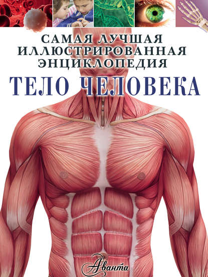 40519427-kler-gibbert-telo-cheloveka-40519427.jpg