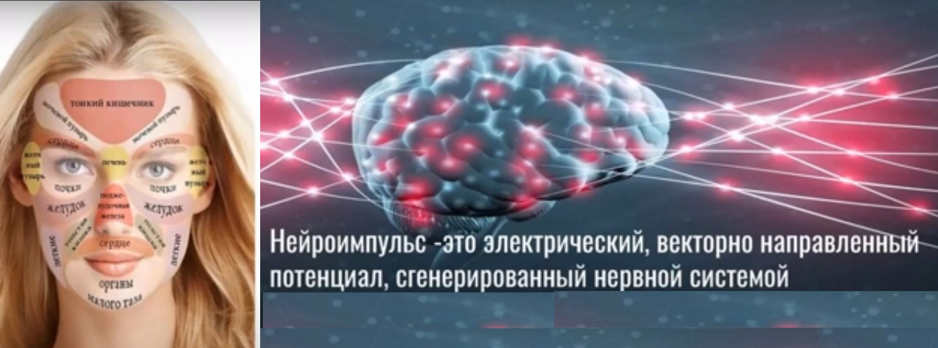44444.png