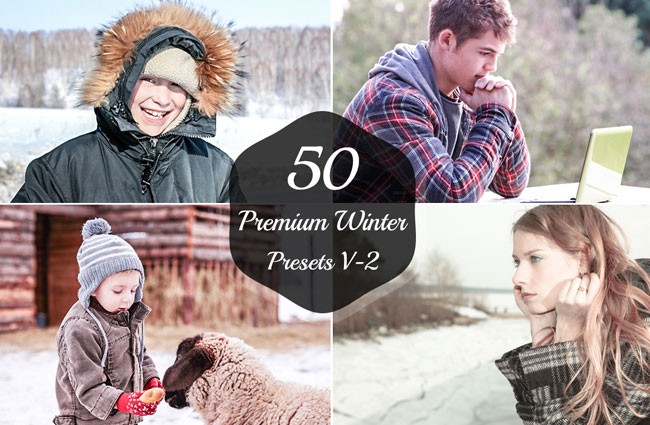 50-Premium-Winter-Lightroom-Presets-V-2-1.jpg