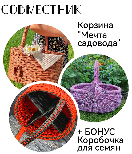 анна бабенкова.jpg