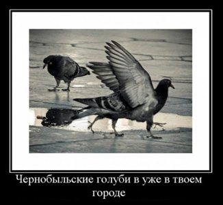 blog-yumora-68.jpg