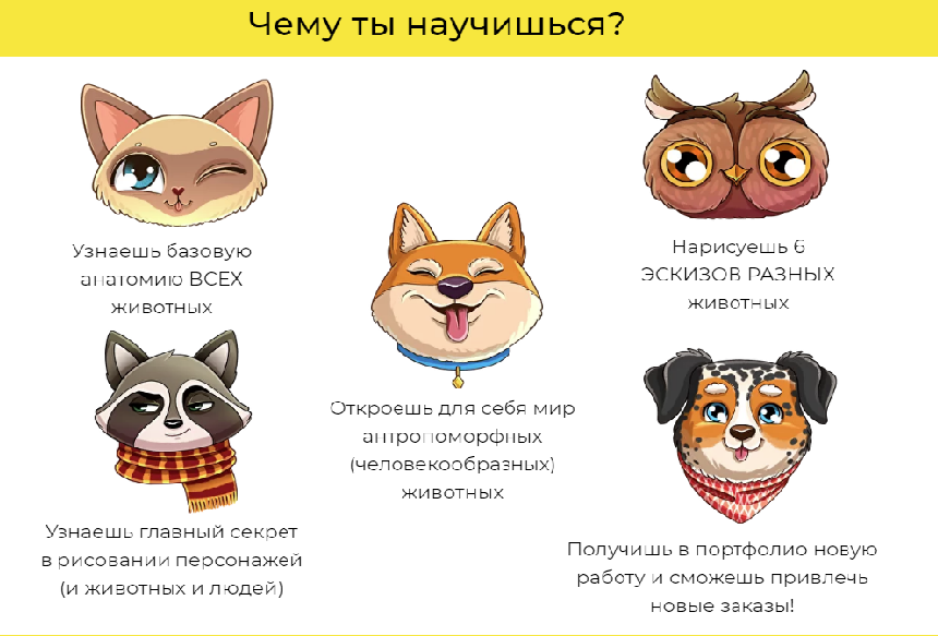 Чему научишься.png