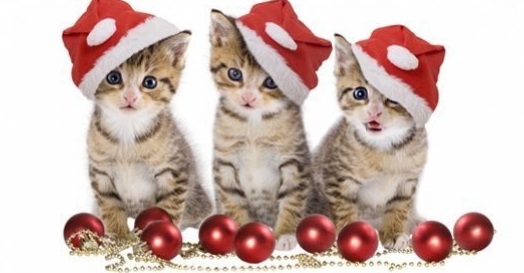 christmas-kittens-facebook-cover-timeline-banner-for-fb.jpg