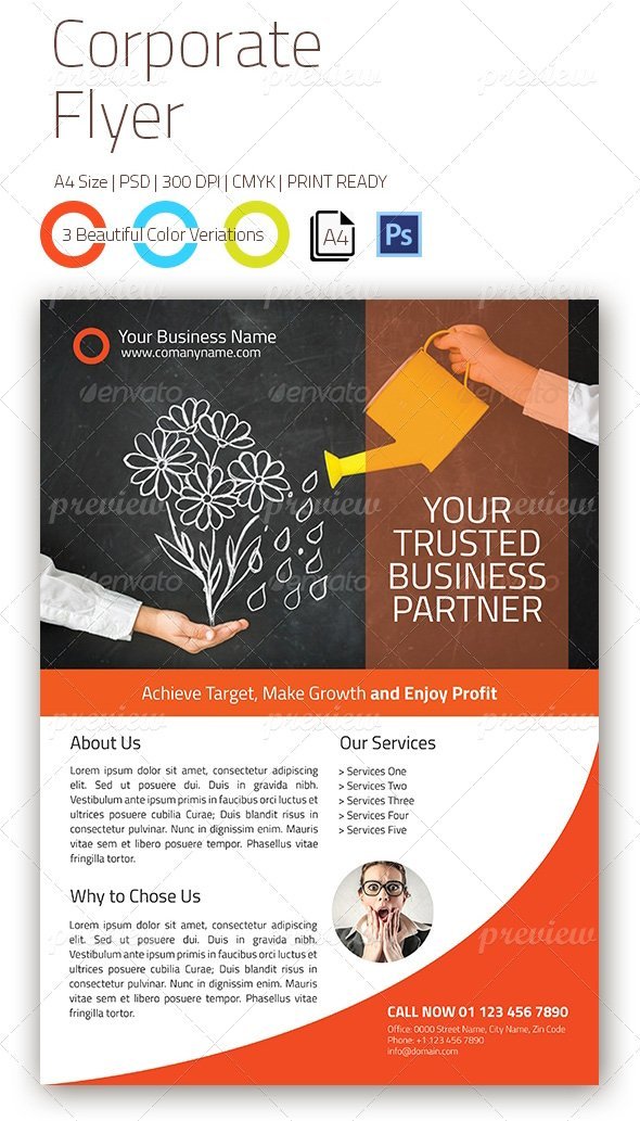 codegrape-3578-corporate-flyer-small1.jpg