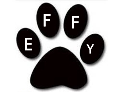 effy5.jpg