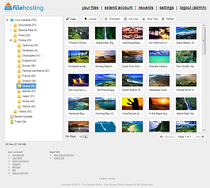 file_hosting_file_manager_screenshot.jpg