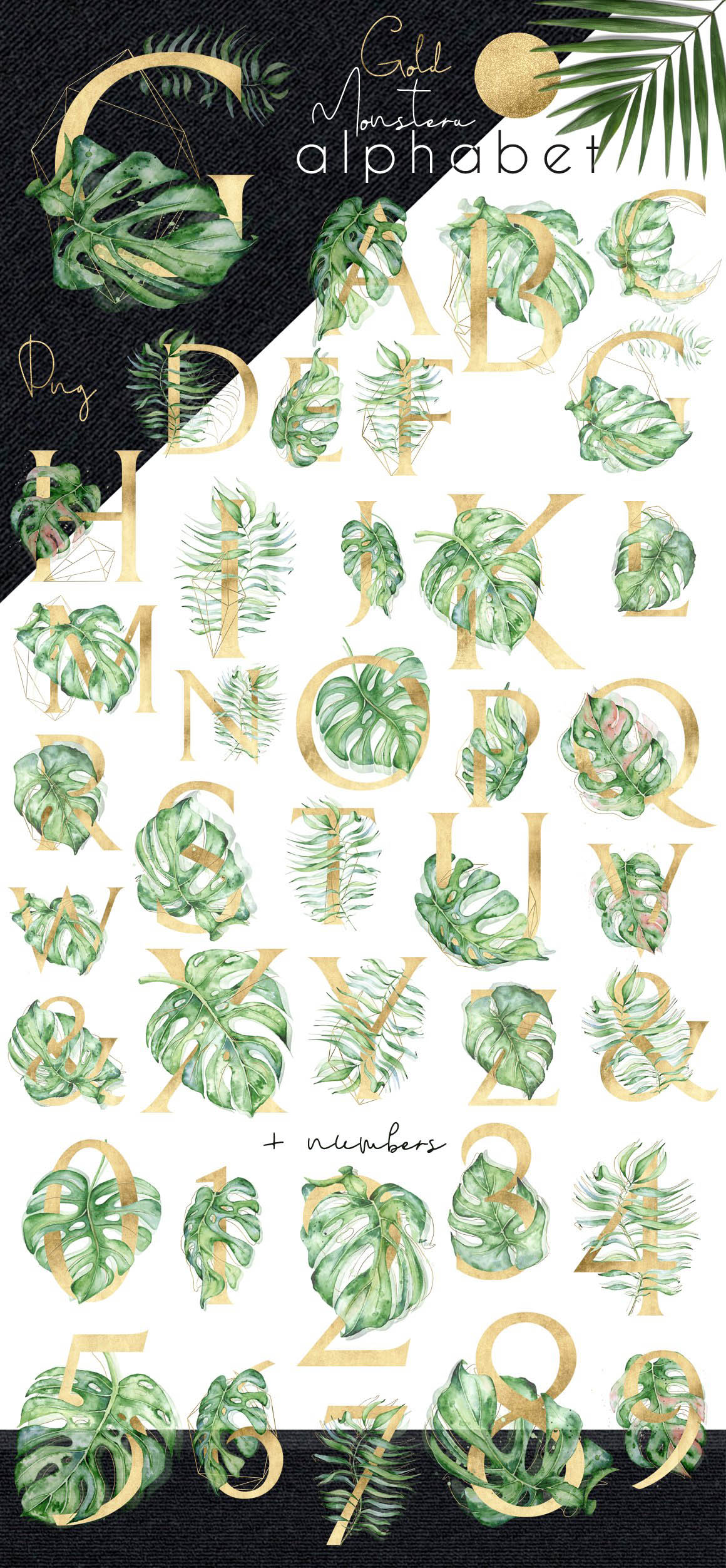 Gold_Monstera_tropical_alphabet_02.jpg