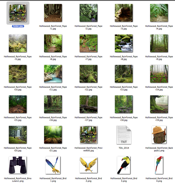 Holliewood_RainForest_Elements1.jpg