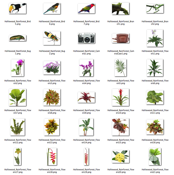 Holliewood_RainForest_Elements2.jpg