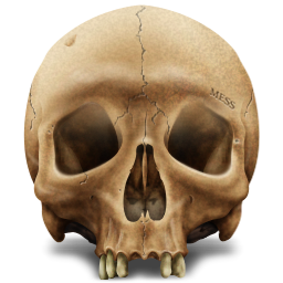 iconskull.png