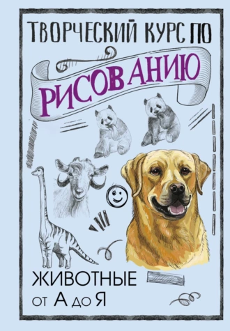 изображение_2024-02-12_133153567.png