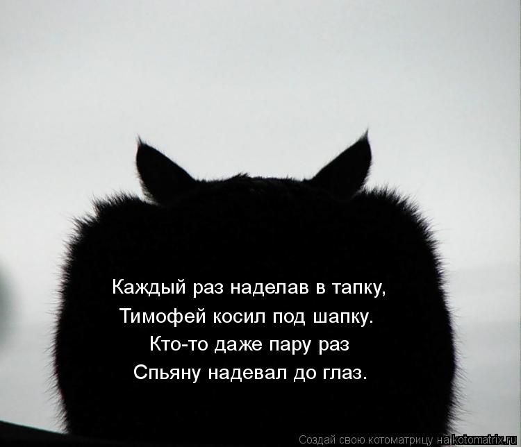 котэ4.jpg