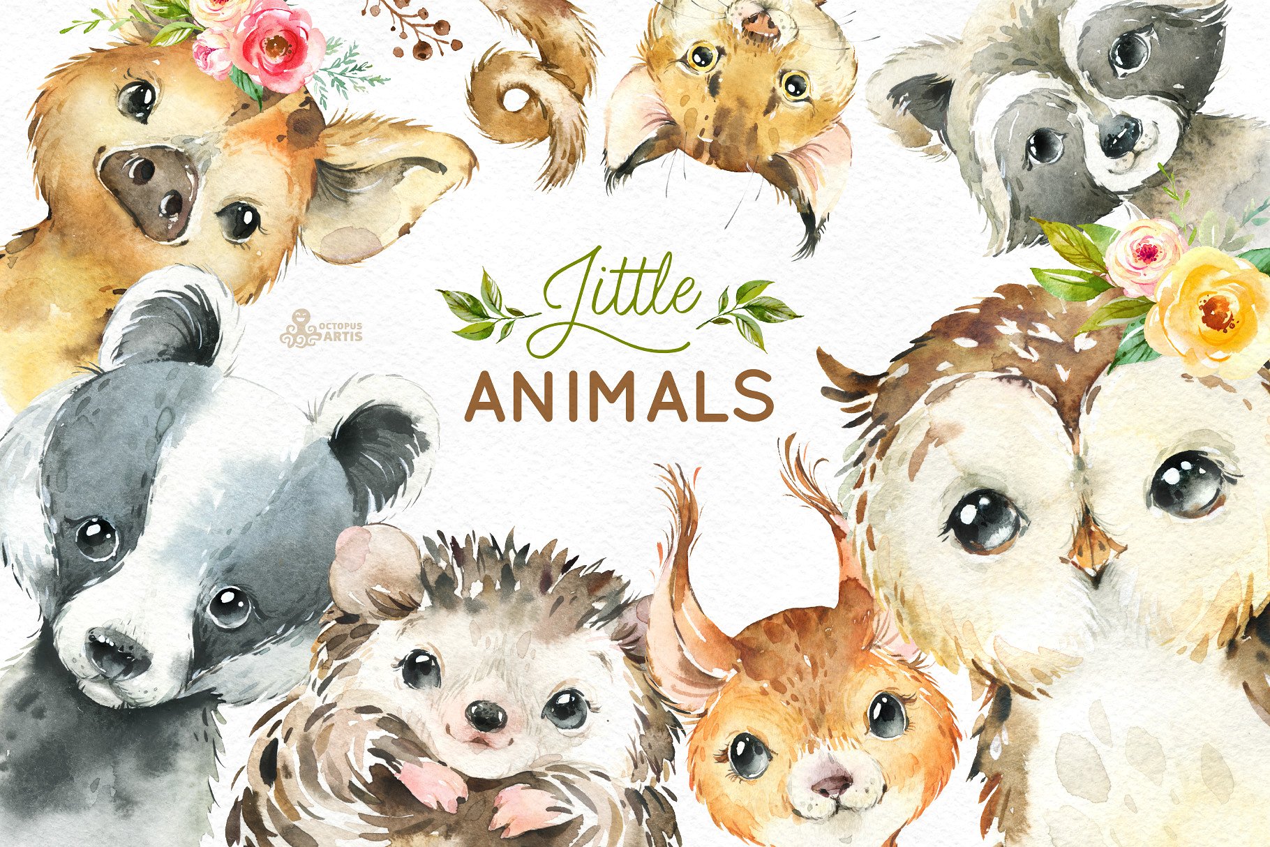 littleanimals_cm_01-.jpg