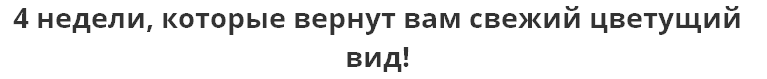 м4.PNG