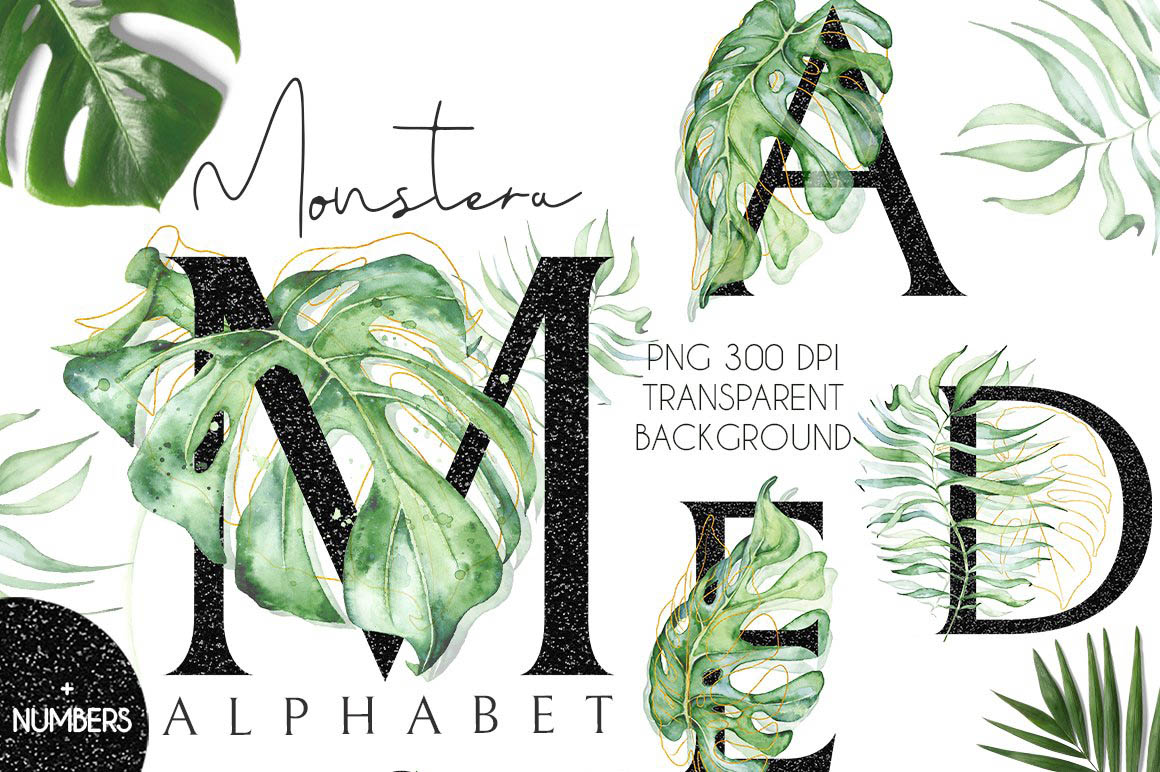 Monstera_watercolor_Black_alphabet_01.jpg