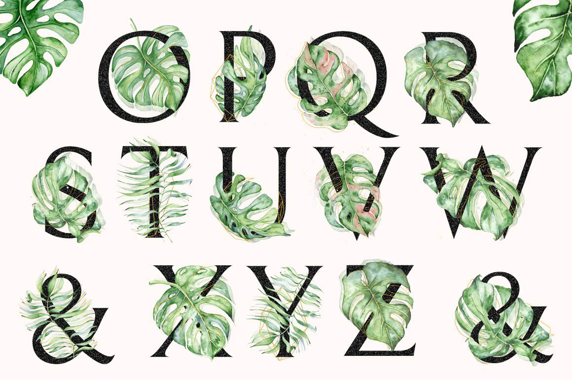 Monstera_watercolor_Black_alphabet_03.jpg