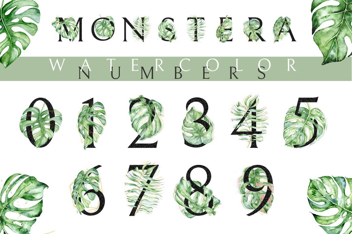 Monstera_watercolor_Black_alphabet_04.jpg