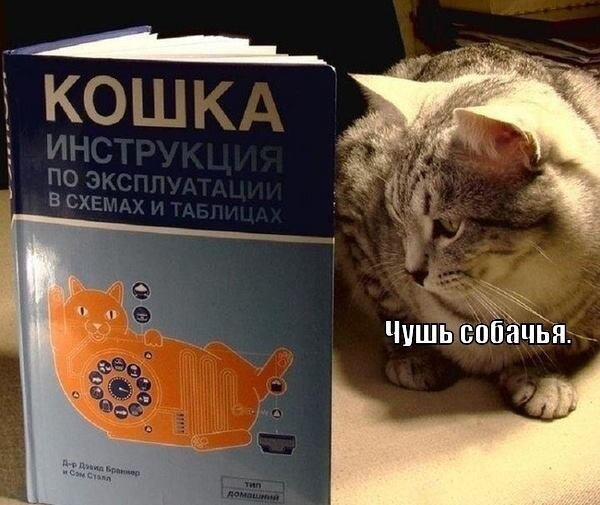 Настольная Библия котиста.jpg