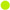 NEIRO-GREEN.jpg
