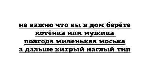 nfAI1gWwPi4.jpg