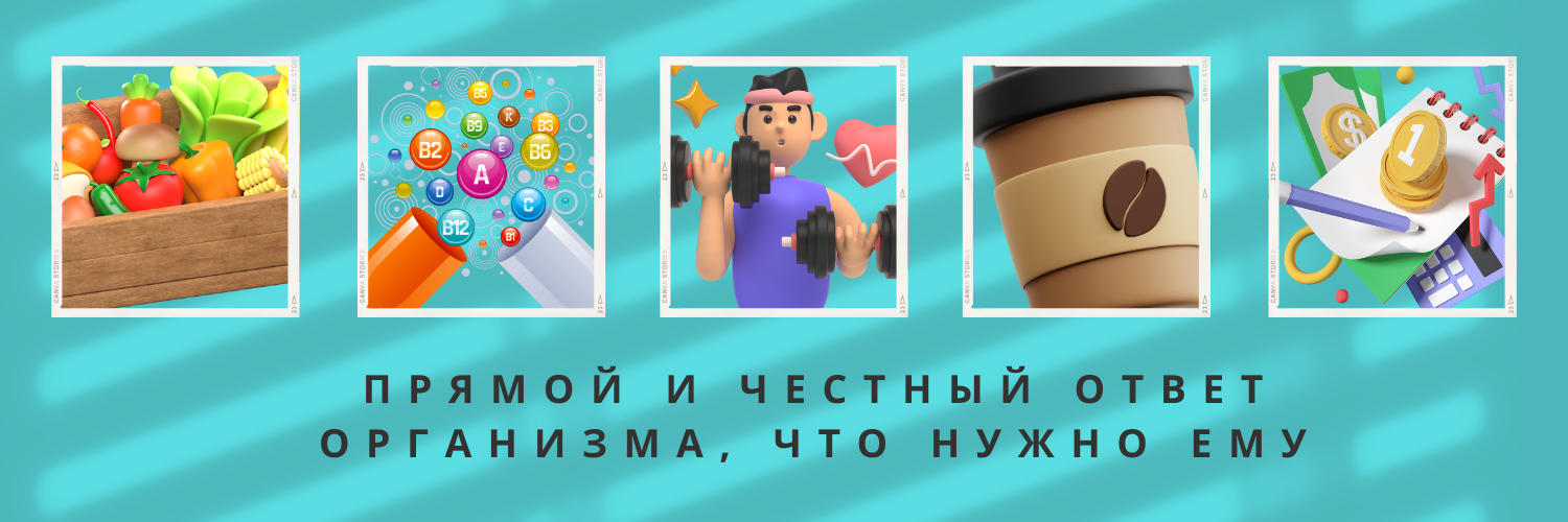 Ответы организма.png