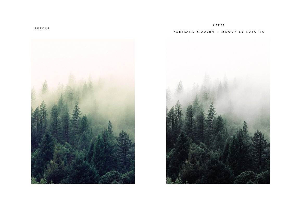 pdx-before-and-after-foggy-forest-cm-.jpg