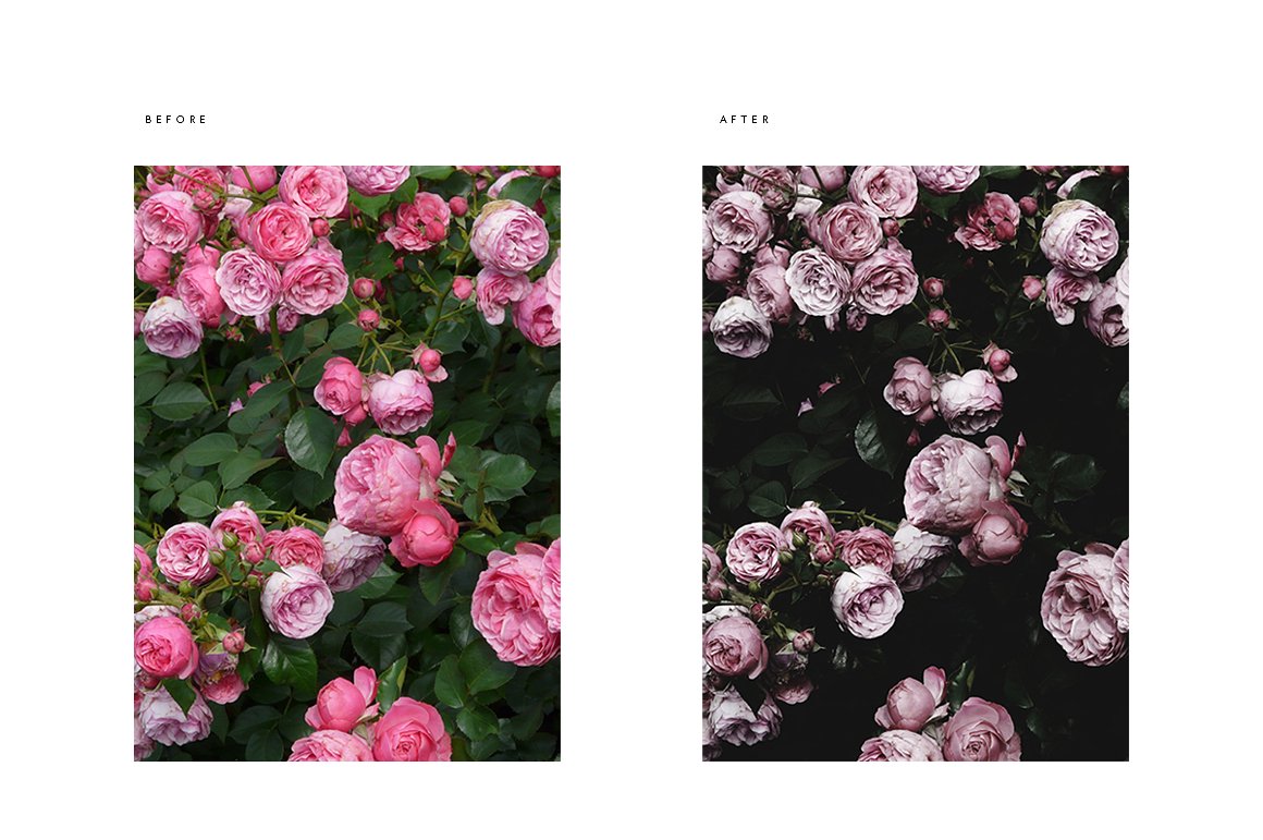 pdx-before-and-after-roses-cm-.jpg