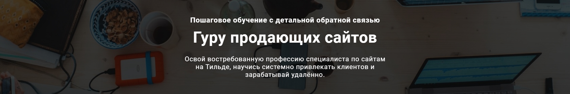 Пошаговое обучение Гуру продающих сайтов Василий Дерябин.jpg