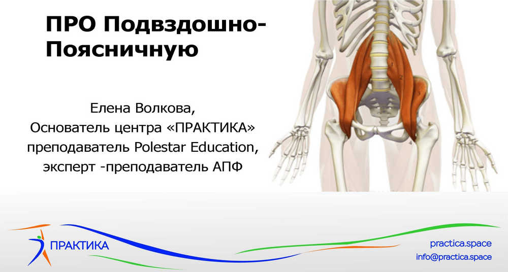 Про подвздошно-поясничную мышцу [Елена Волкова].jpg