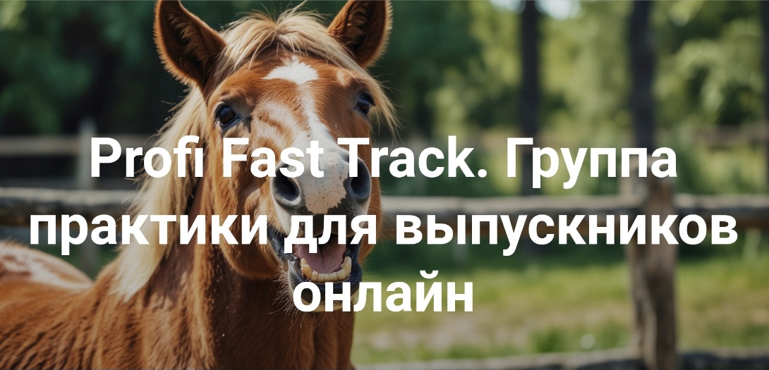 Профи.jpg