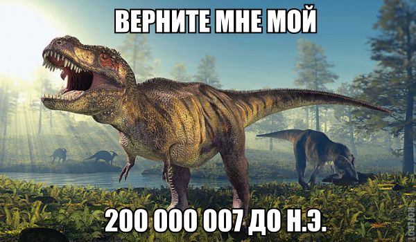 reptil.jpg