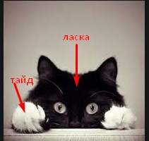 Screenshot_1.jpg