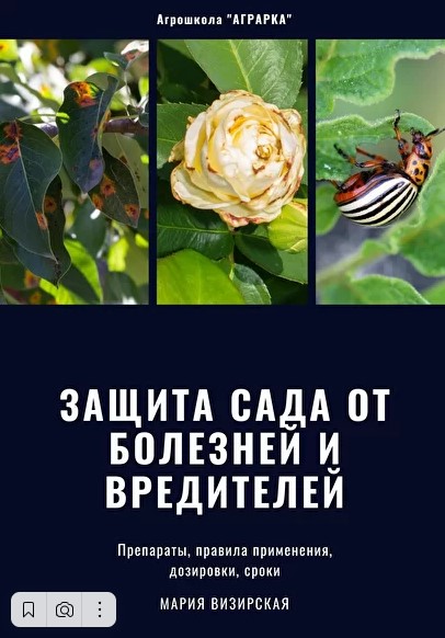 Screenshot_10.jpg