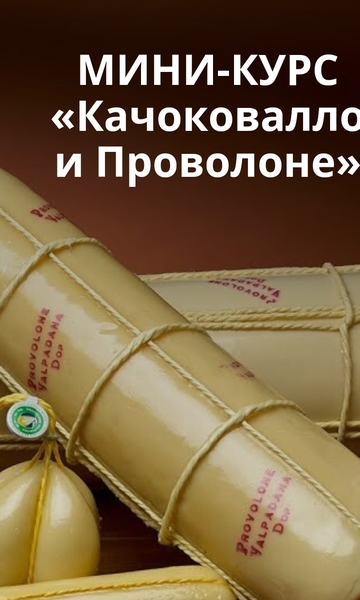 Screenshot_20250226-172125.jpg