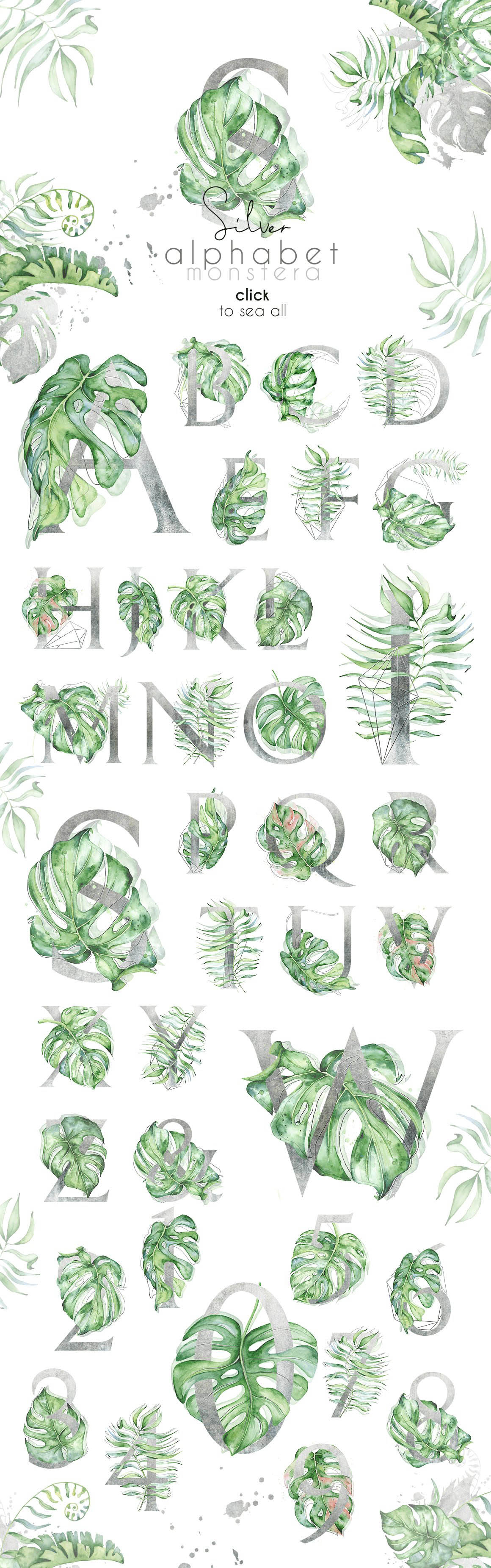 Silver_Monstera_tropical_alphabet_02.jpg