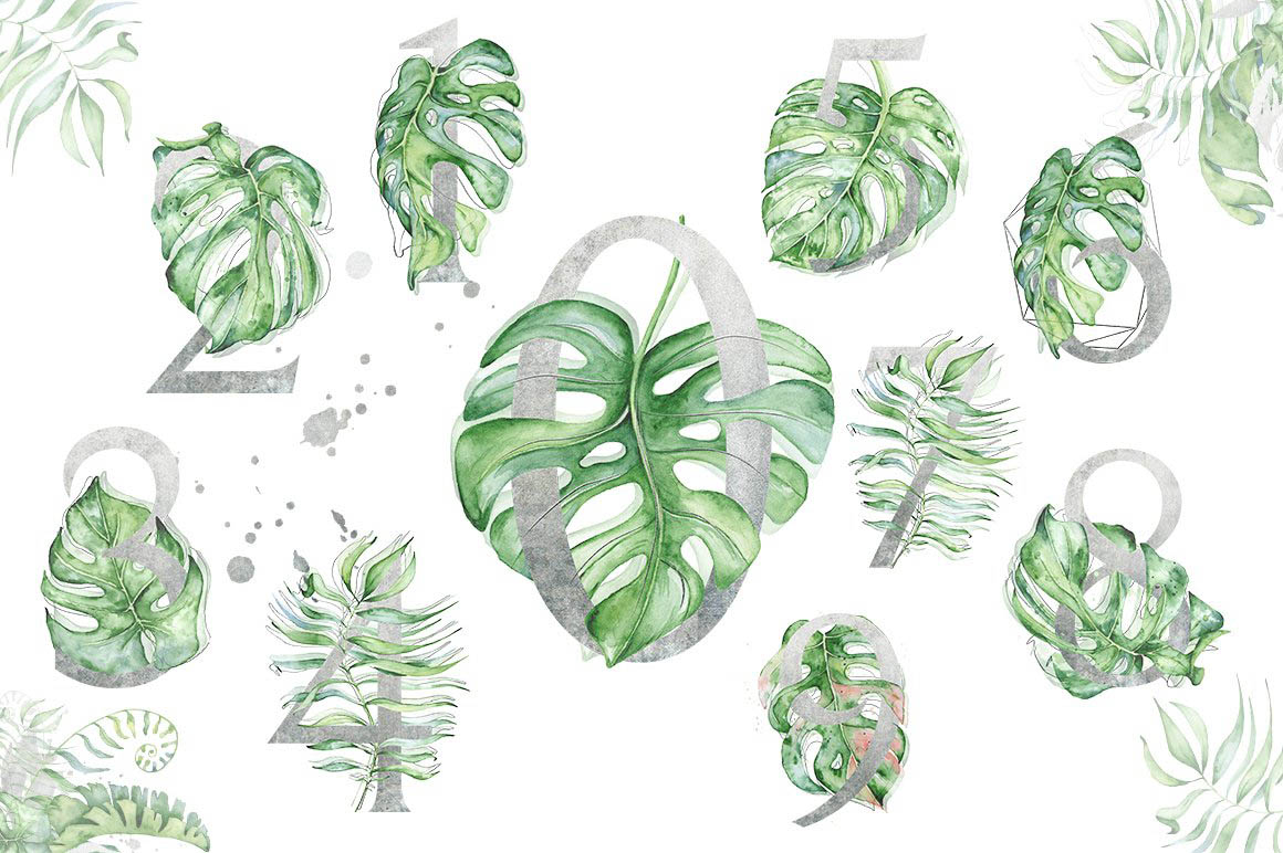 Silver_Monstera_tropical_alphabet_03.jpg