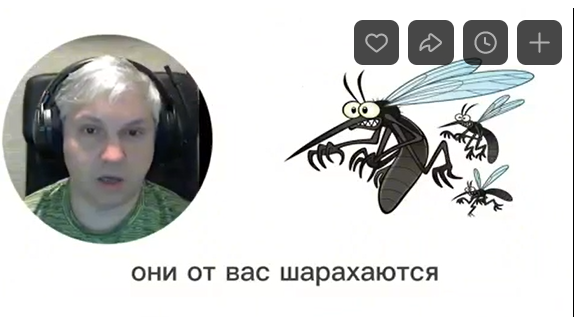 Скриншот 31-05-2024 19.43.24.png