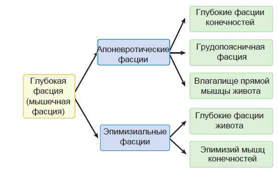 Снимок экрана 2021-07-28 в 14.35.26.png