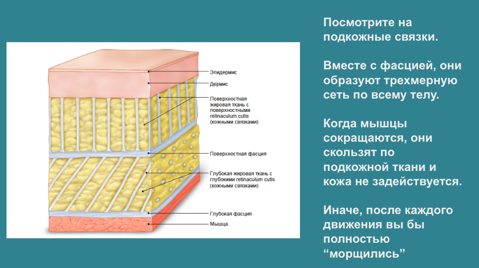 Снимок экрана 2022-12-02 в 21.00.18.png