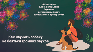 thumb-3877_crs-5633_фон-для-вставки-нужных-размеров.png.320x180.png