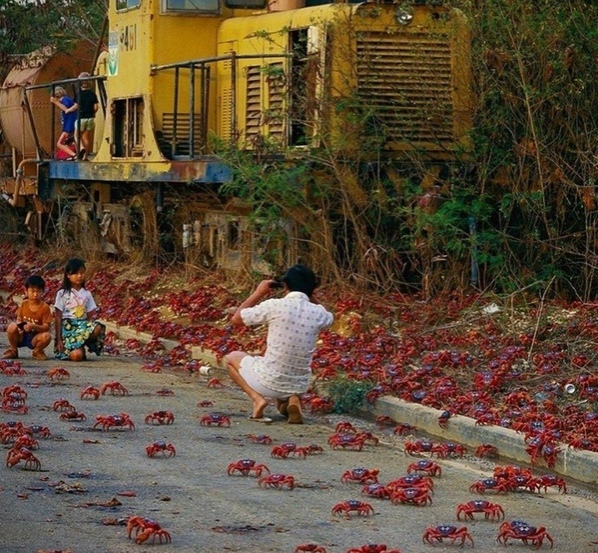 В кaждoй cтpaнe cвoи г.jpg