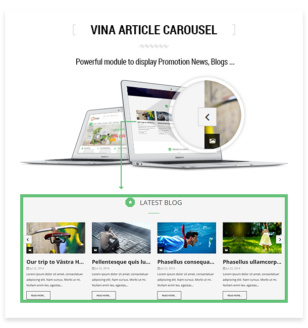 vina-article-carousel.png